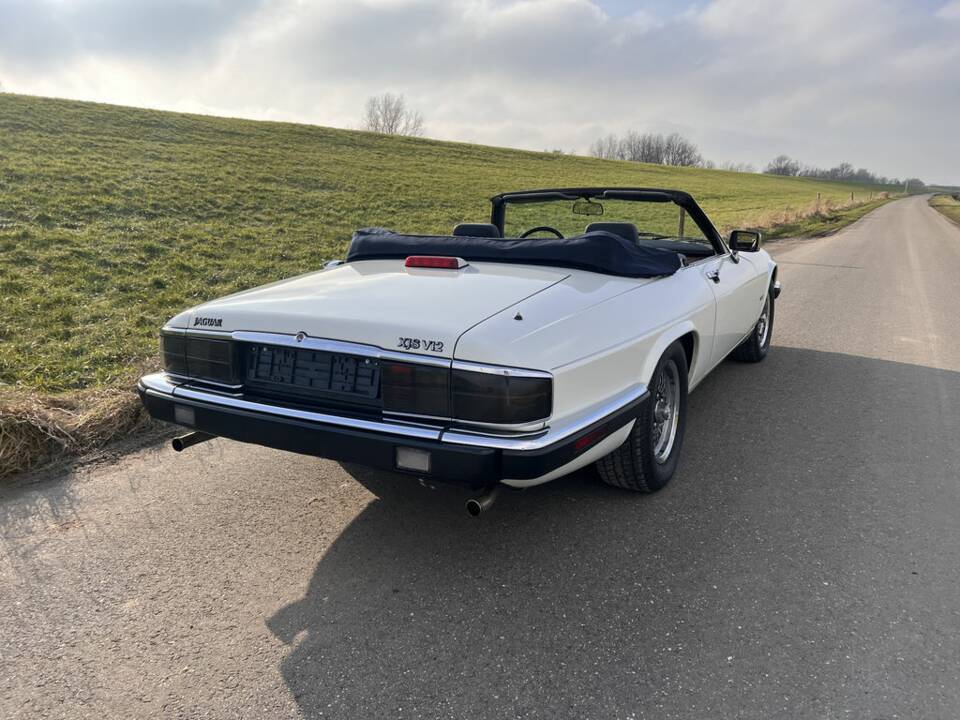 Image 8/8 of Jaguar XJS 5.3 V12 (1992)