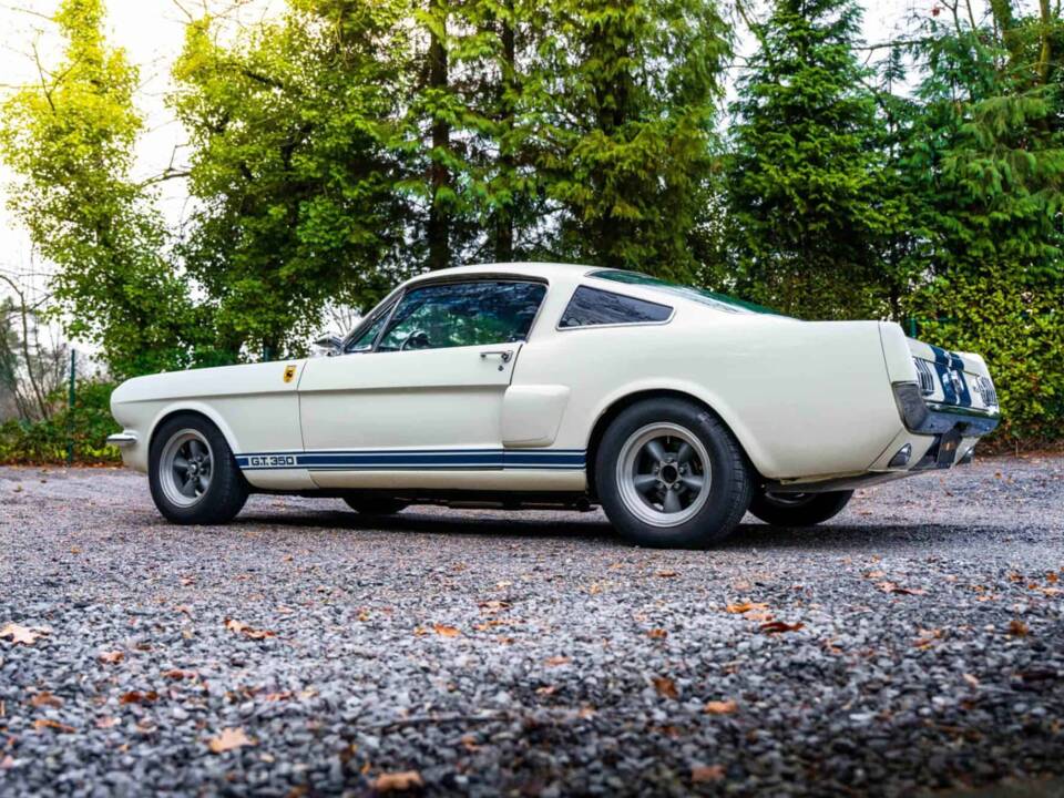 Image 12/27 of Ford Shelby GT 350 (1966)