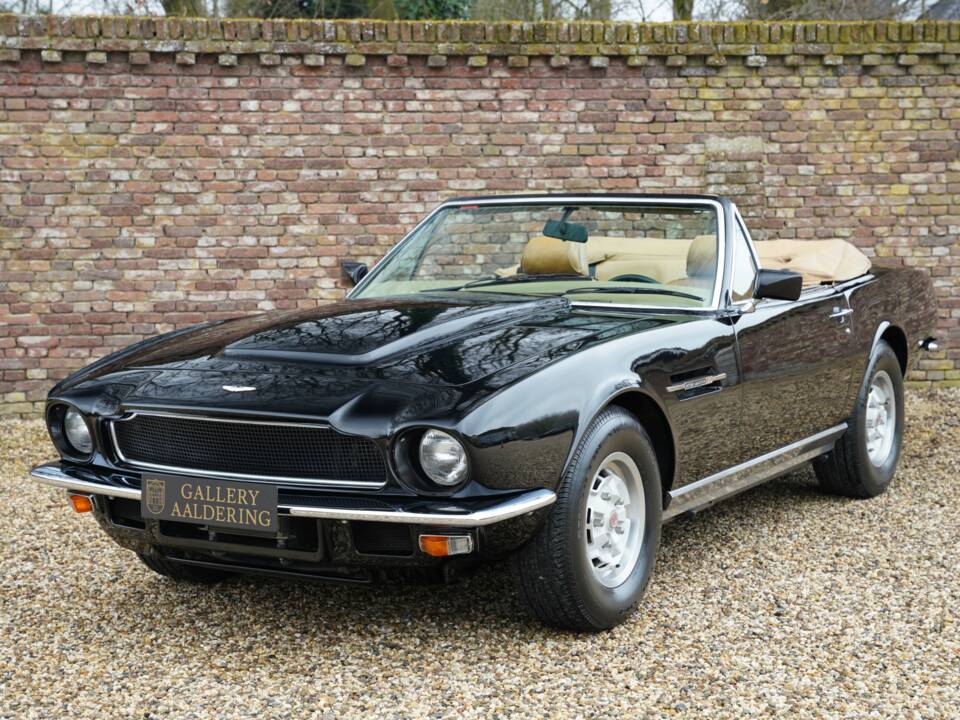 Bild 13/50 von Aston Martin V8 Volante (1982)