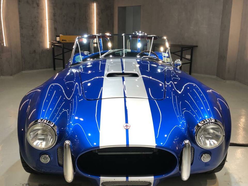Image 12/18 of AC Cobra (2011)