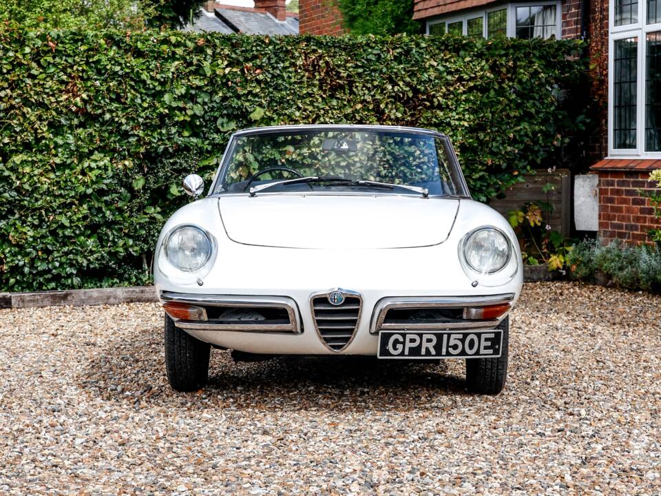 Immagine 12/35 di Alfa Romeo 1600 Spider Duetto (1967)