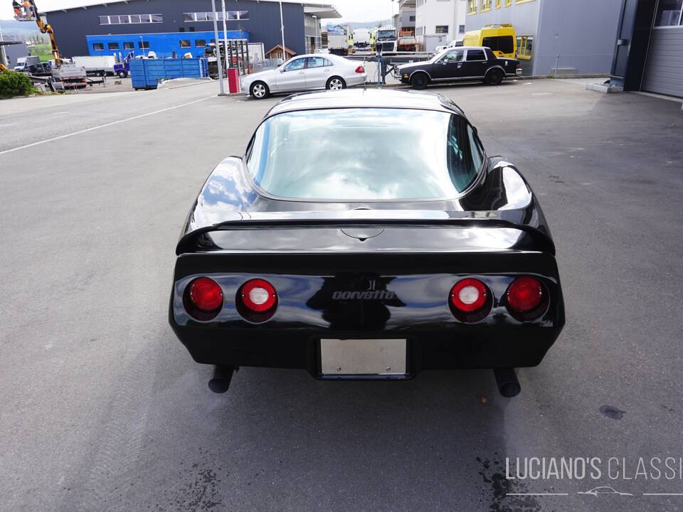 Bild 8/58 von Chevrolet Corvette Sting Ray (1979)