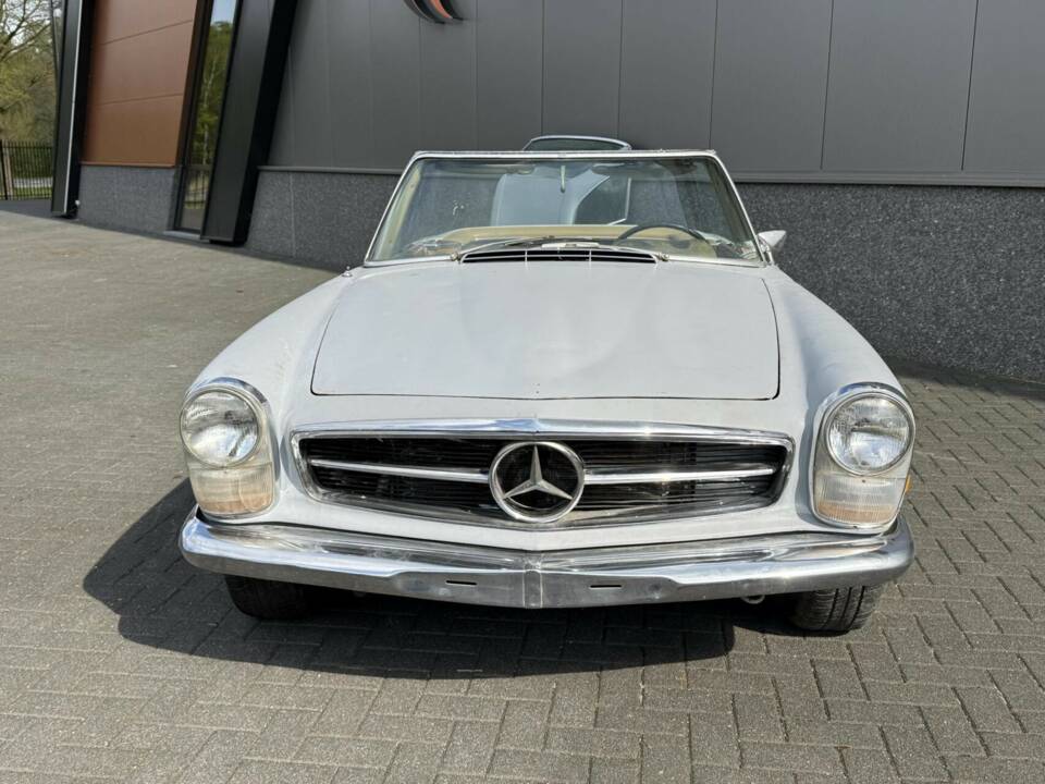 Bild 2/50 von Mercedes-Benz 250 SL (1967)