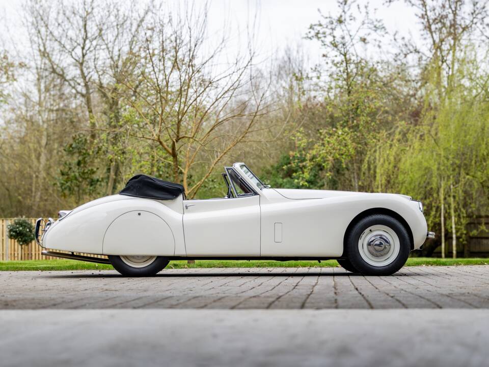 Image 48/50 of Jaguar XK 120 DHC (1953)