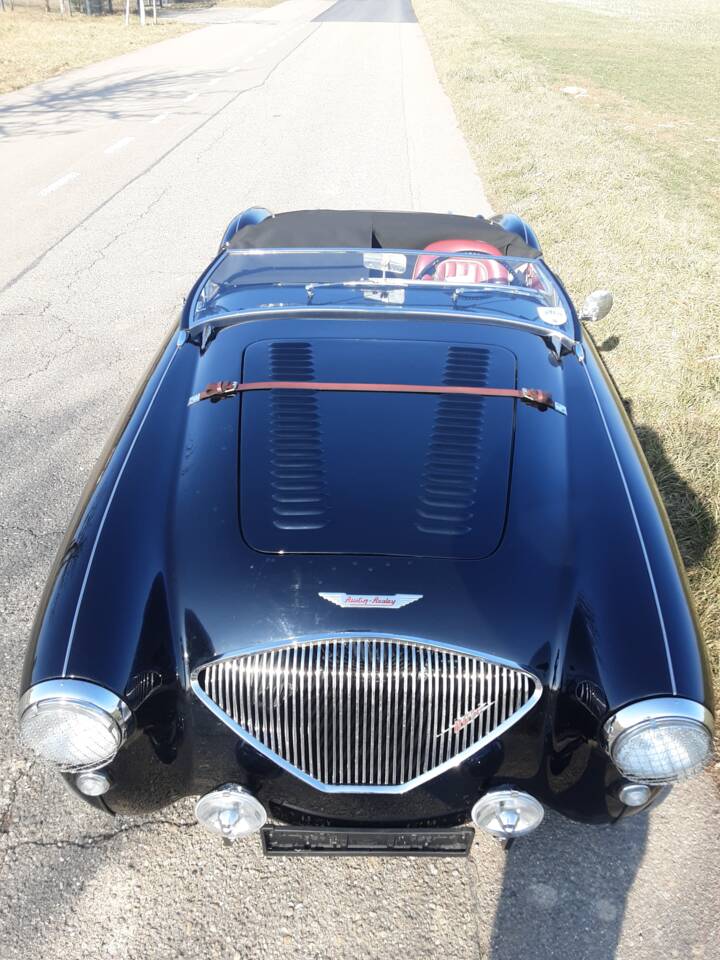 Bild 7/28 von Austin-Healey 100&#x2F;4 (BN1) (1954)