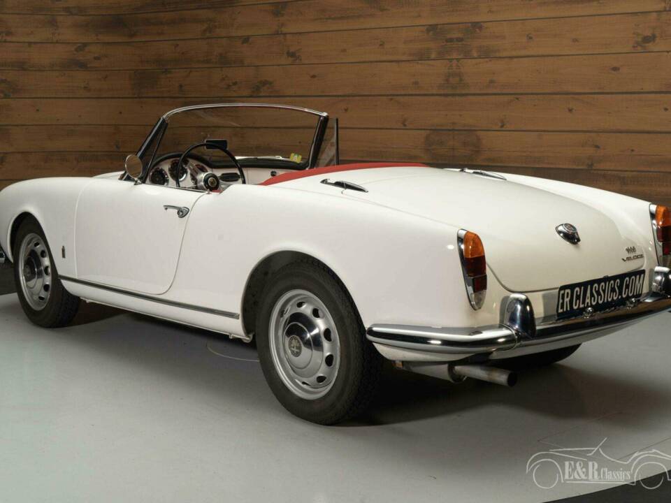 Bild 8/19 von Alfa Romeo Giulia 1600 Spider Veloce (1964)