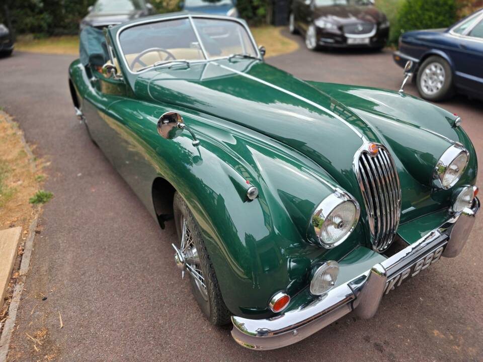 Bild 16/45 von Jaguar XK 140 DHC (1955)