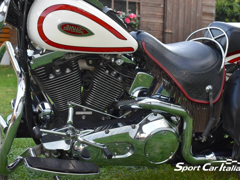 Immagine 34/50 di Harley-Davidson FLSTS 1340 Heritage Springer (1998)