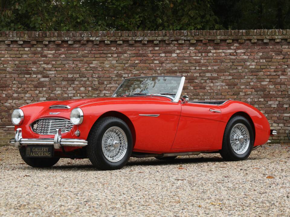 Image 50/50 de Austin-Healey 100/6 (BN4) (1959)
