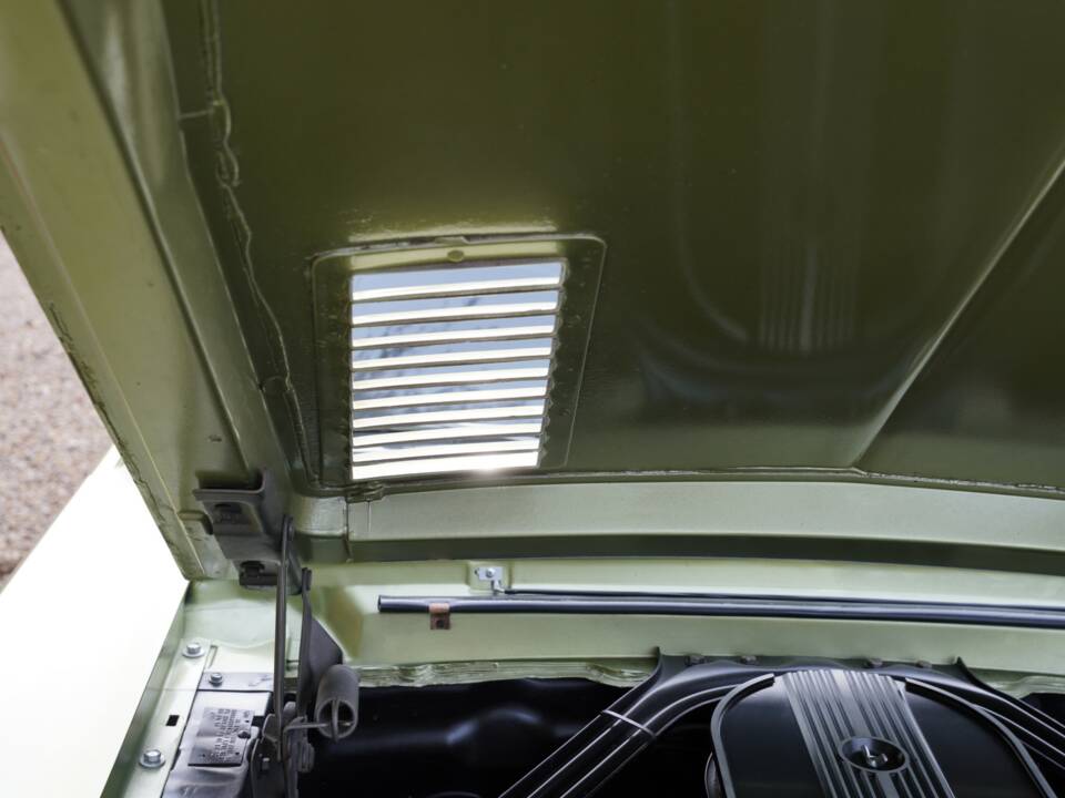 Afbeelding 18/50 van Ford Shelby GT 350 (1968)