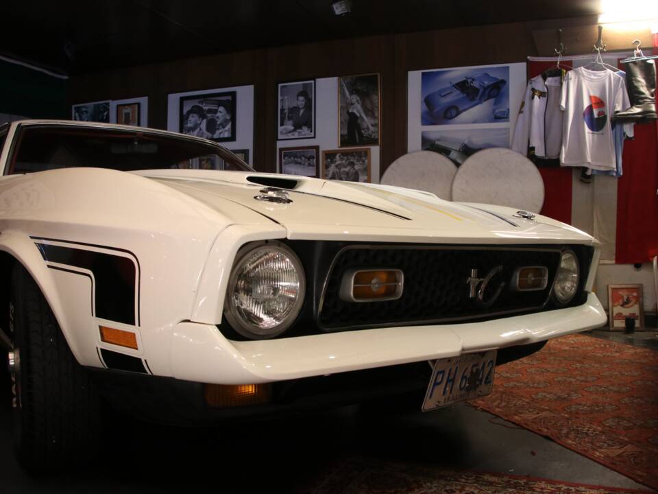 Immagine 10/41 di Ford Mustang Mach 1 (1972)