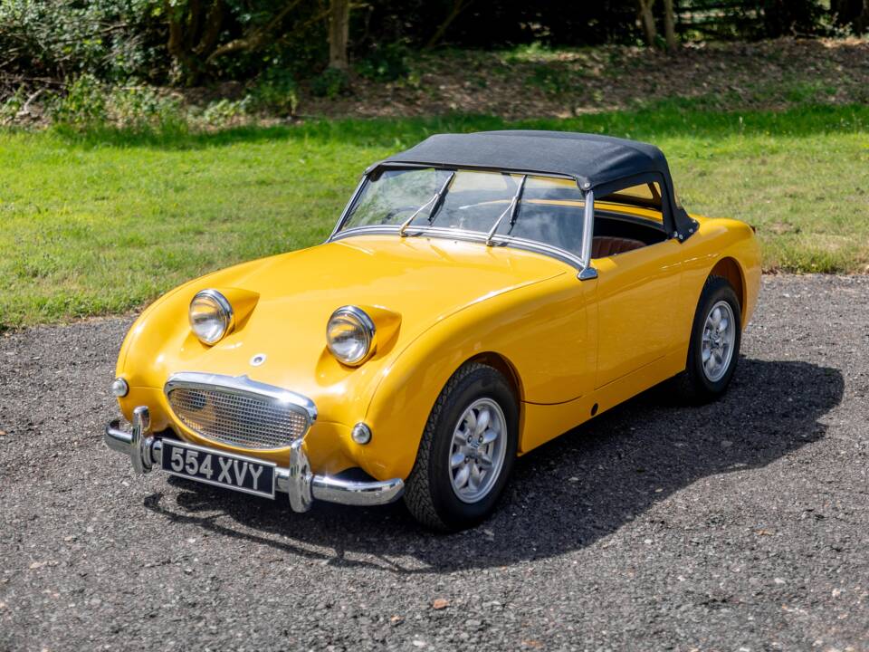 Bild 6/32 von Austin-Healey Sprite Mk I (1961)