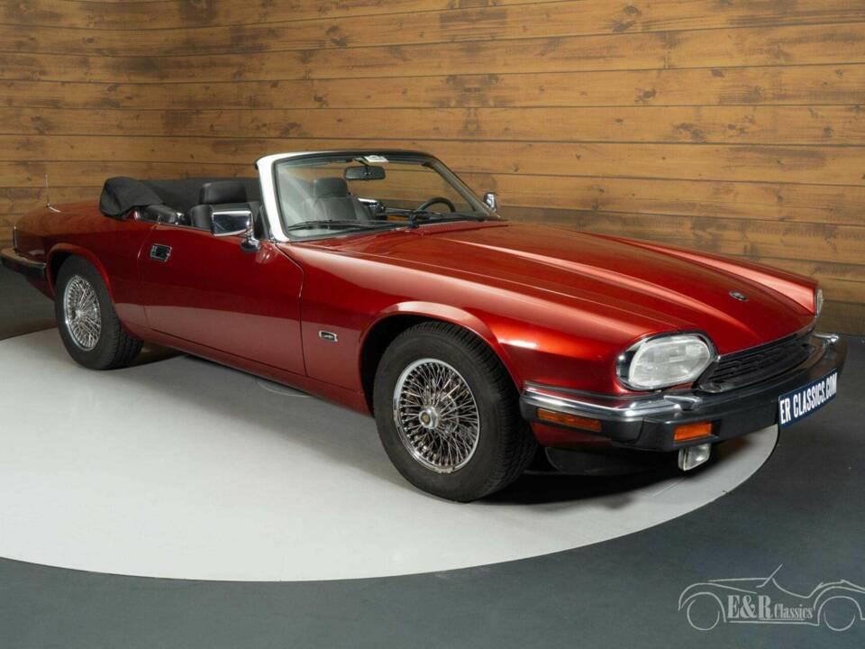 Bild 17/19 von Jaguar XJS 5.3 V12 (1992)