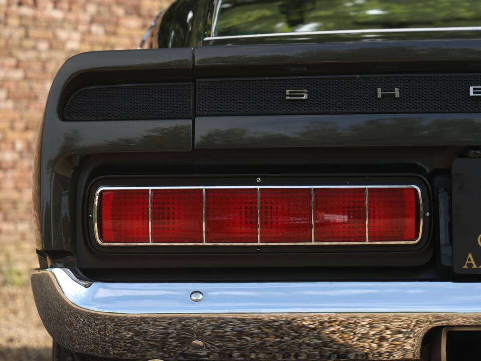 Image 37/50 of Ford Shelby GT 500 (1969)
