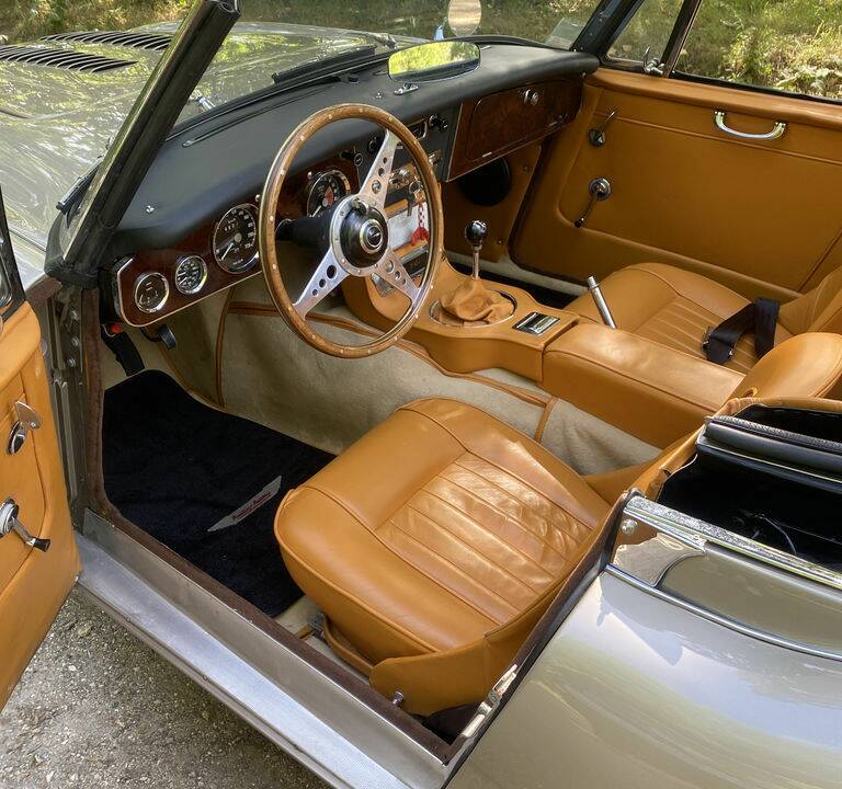 Afbeelding 2/8 van Austin-Healey 3000 Mk III (BJ8) (1965)