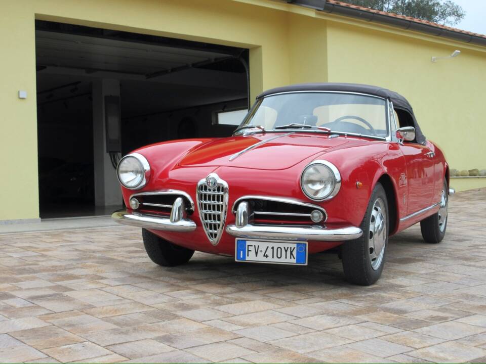 Bild 3/57 von Alfa Romeo Giulietta Spider (1961)