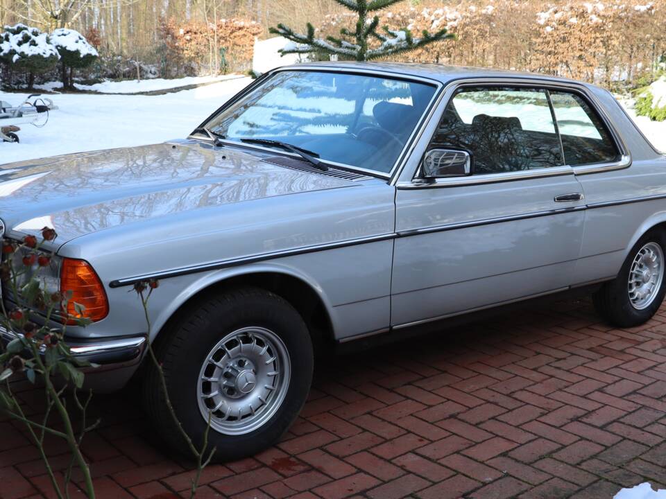 Bild 8/50 von Mercedes-Benz 280 C (1977)