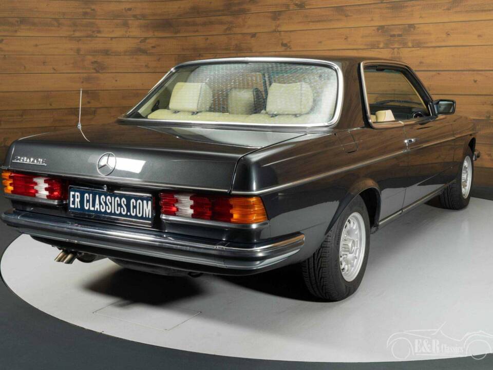 Immagine 15/19 di Mercedes-Benz 280 CE (1977)