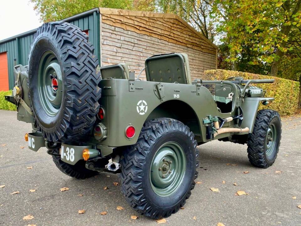 Immagine 8/16 di Willys Jeep M38 A1 (1952)