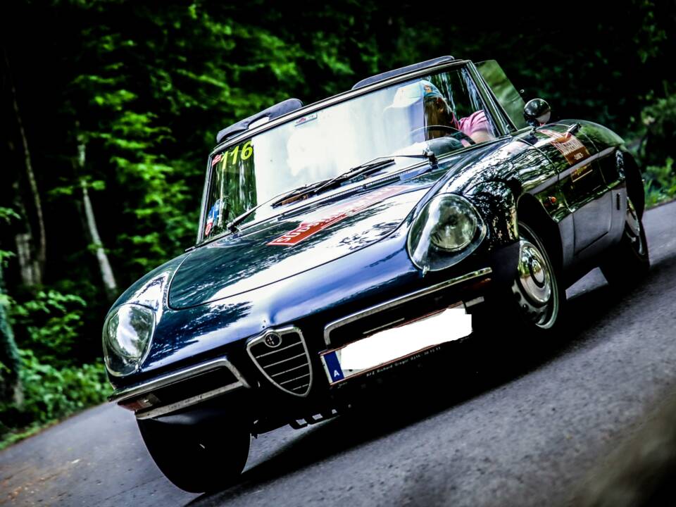 Image 3/5 of Alfa Romeo 1600 Spider Duetto (1966)