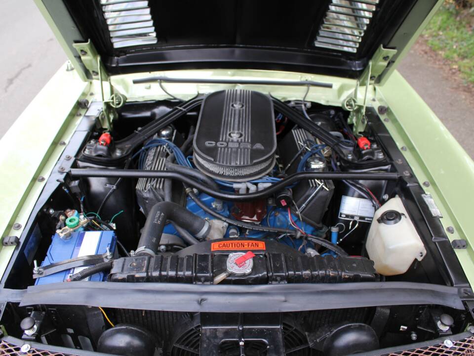 Immagine 15/21 di Ford Shelby GT 500 (1968)