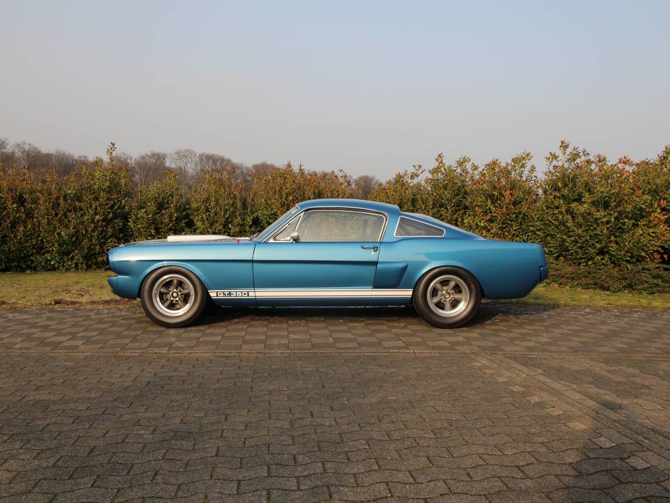 Bild 4/14 von Ford Shelby GT 350 (1966)