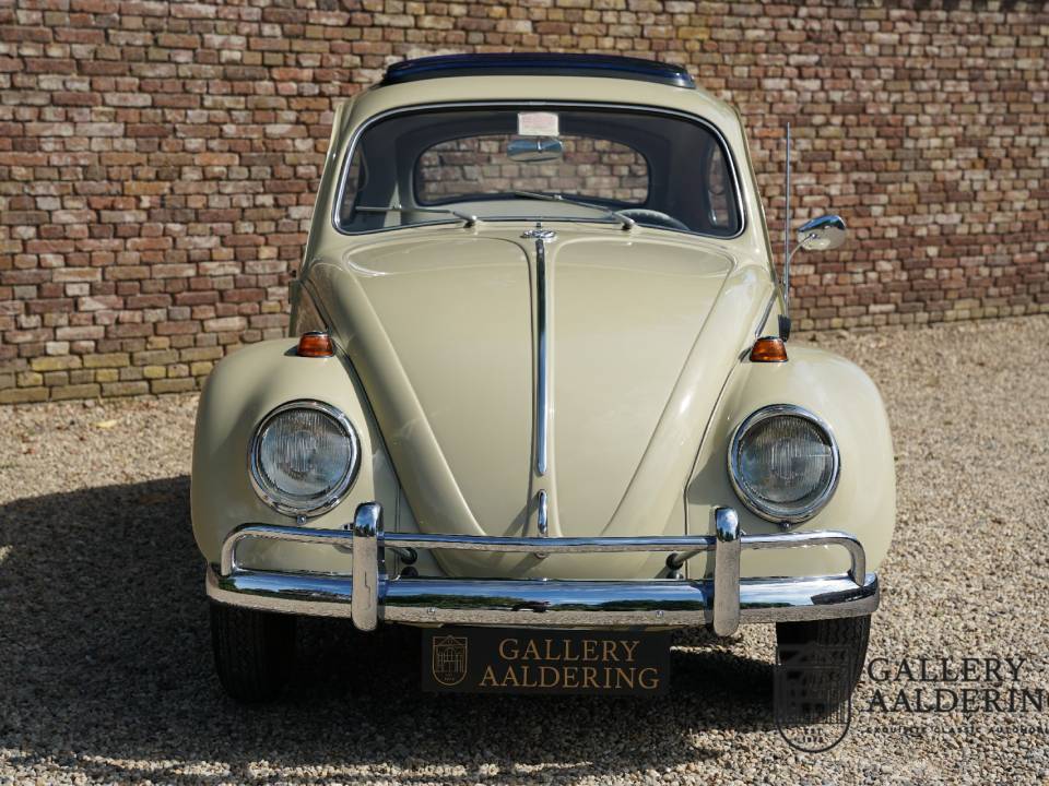 Image 6/50 of Volkswagen Käfer 1200 A (1964)