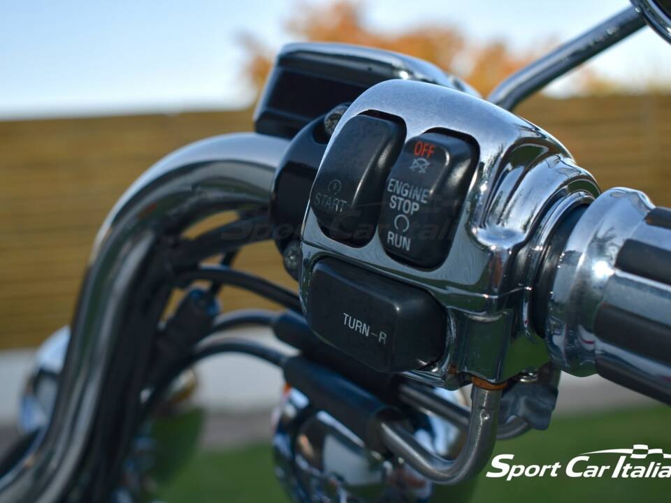 Immagine 42/50 di Harley-Davidson FLSTS 1340 Heritage Springer (1998)