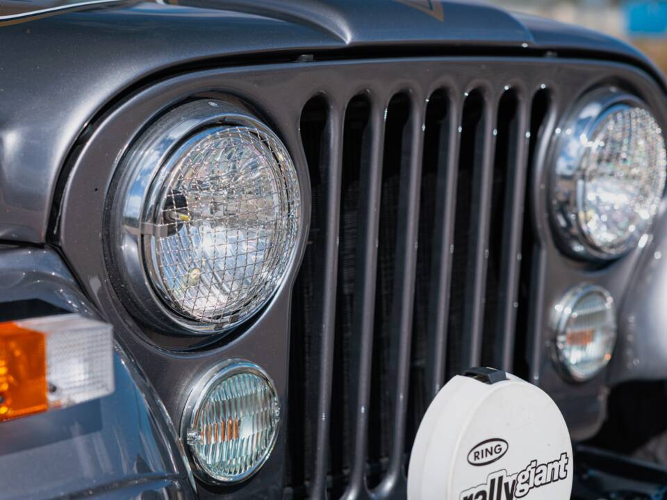 Imagen 20/50 de Jeep CJ-7 Renegade (1982)