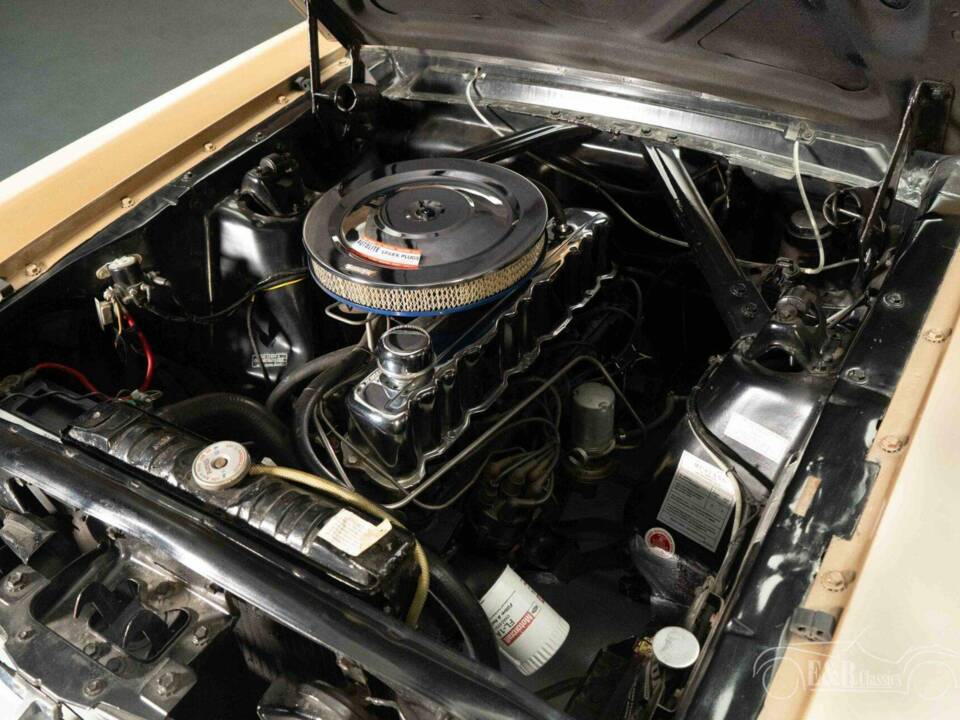 Bild 5/19 von Ford Mustang 200 (1965)