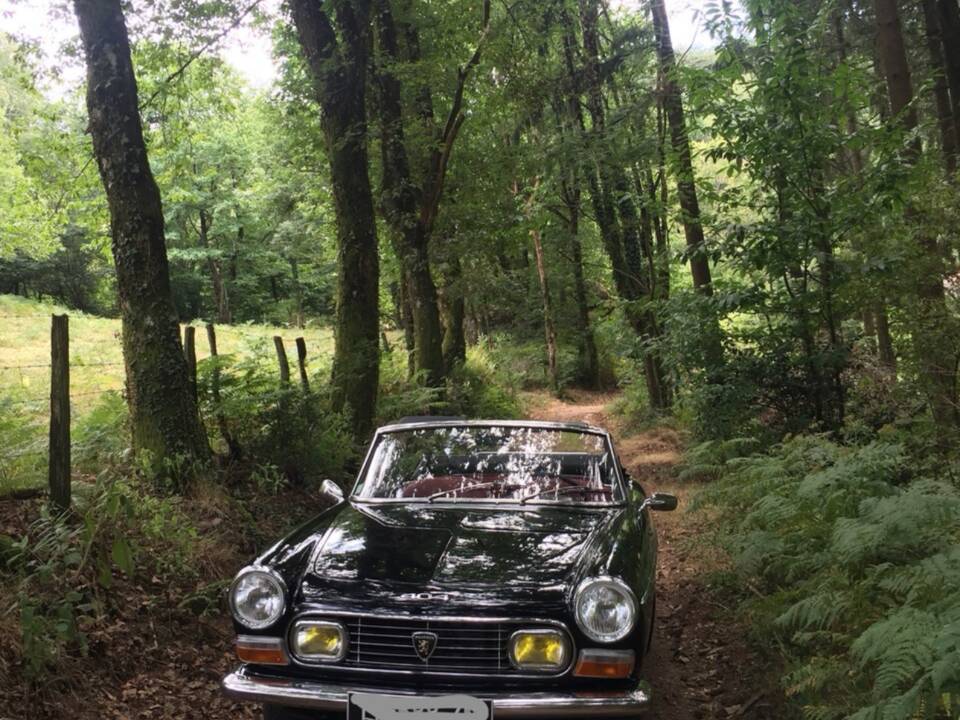 Imagen 7/26 de Peugeot 404 Convertible (1968)
