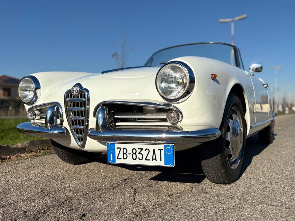 Bild 24/28 von Alfa Romeo Giulietta Spider (1961)