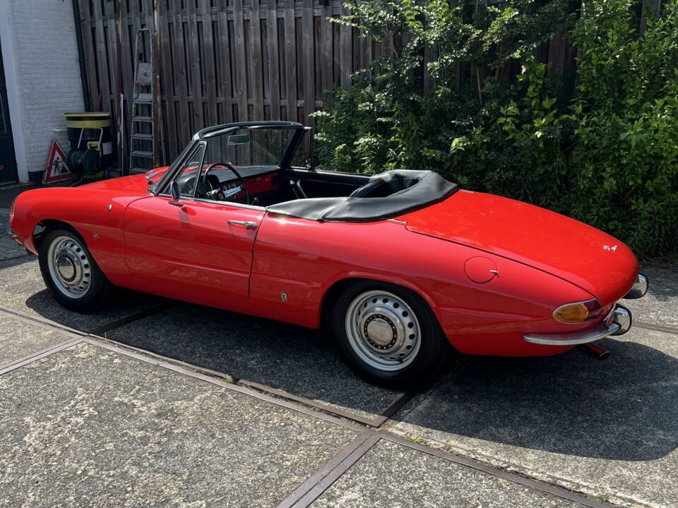 Image 3/7 of Alfa Romeo 1600 Spider Duetto (1967)