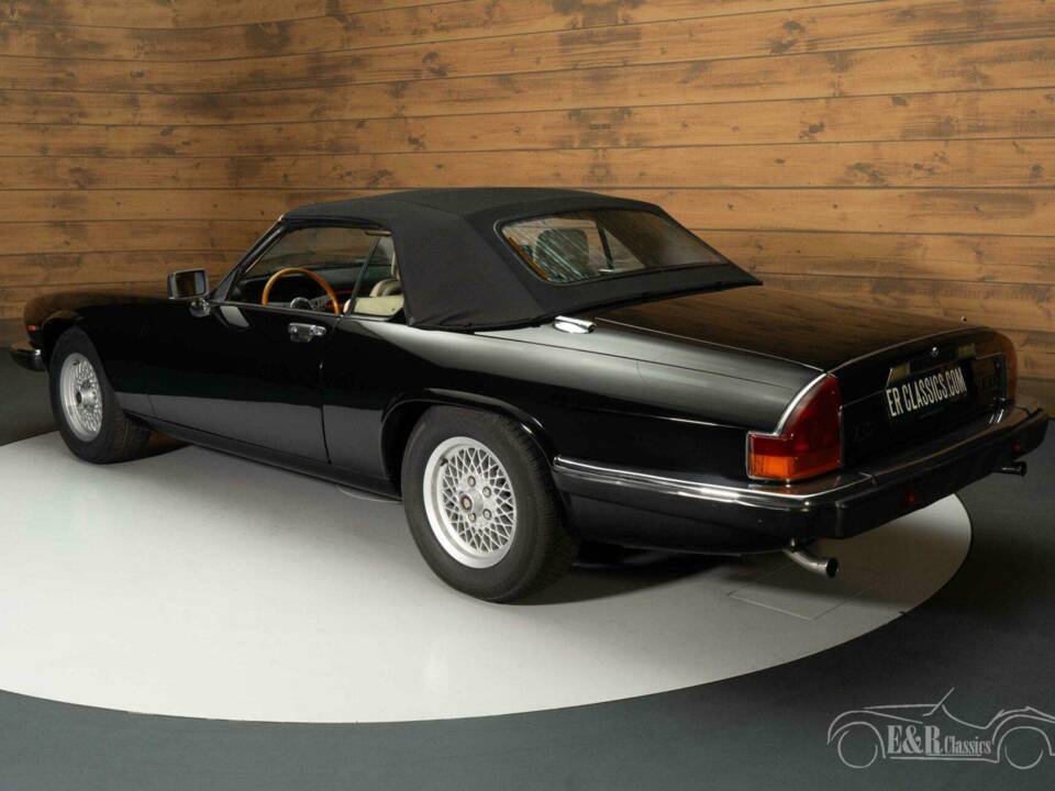 Bild 14/19 von Jaguar XJS 5.3 V12 (1989)