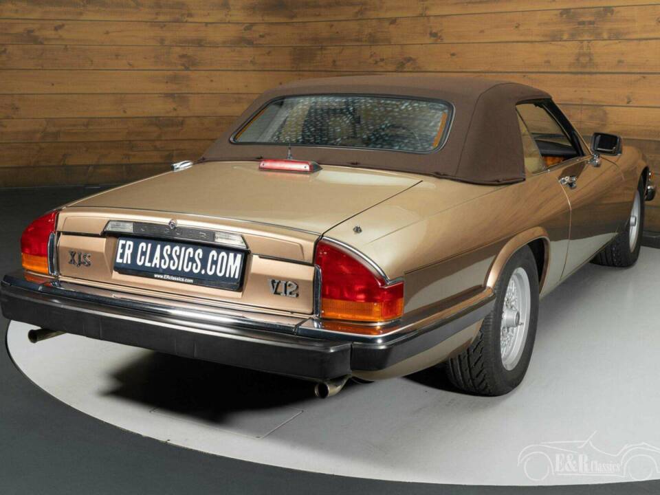 Bild 14/19 von Jaguar XJ-S H.E. (1990)