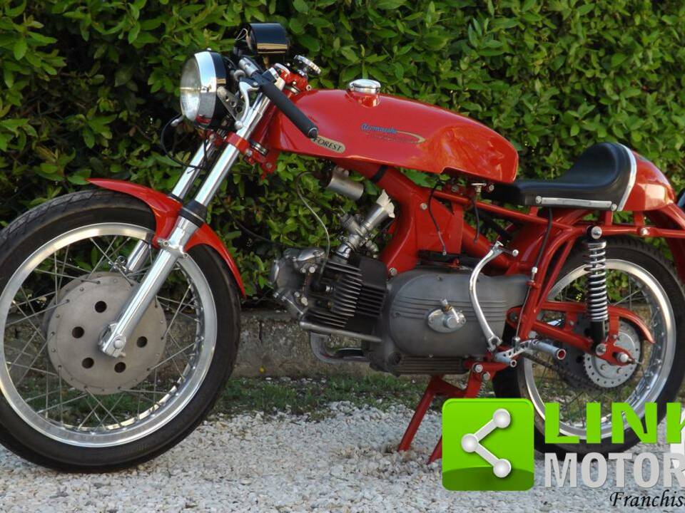 Imagen 2/10 de Aermacchi DUMMY (1960)