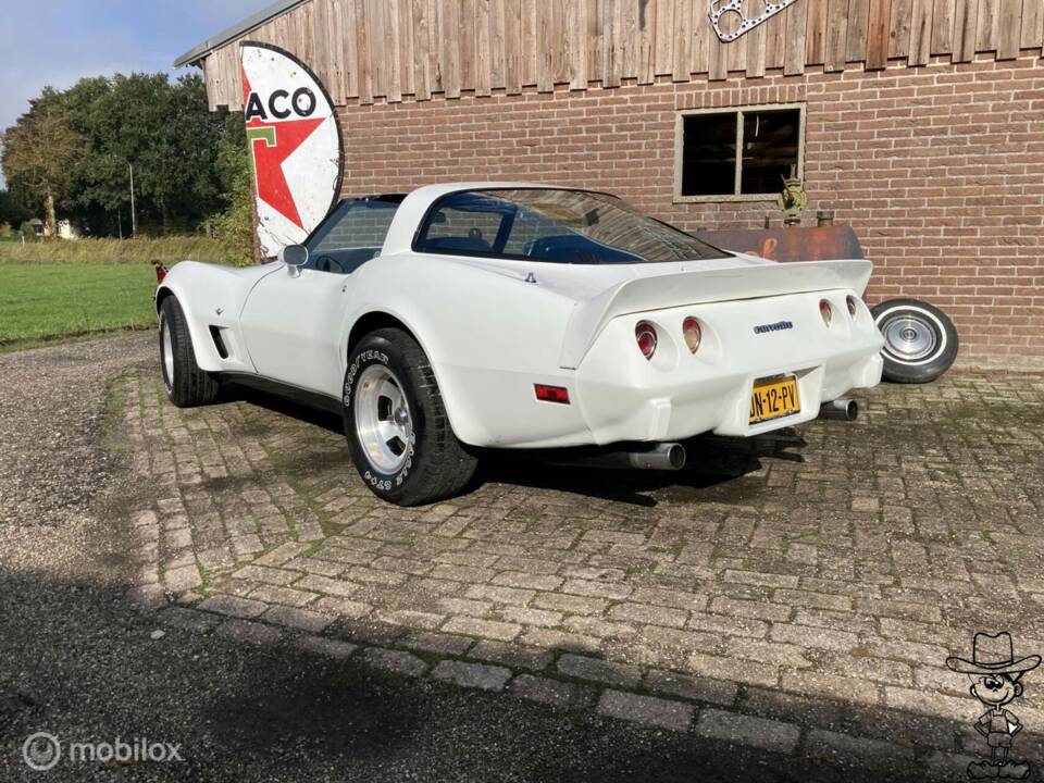Afbeelding 22/50 van Chevrolet Corvette Sting Ray (1979)