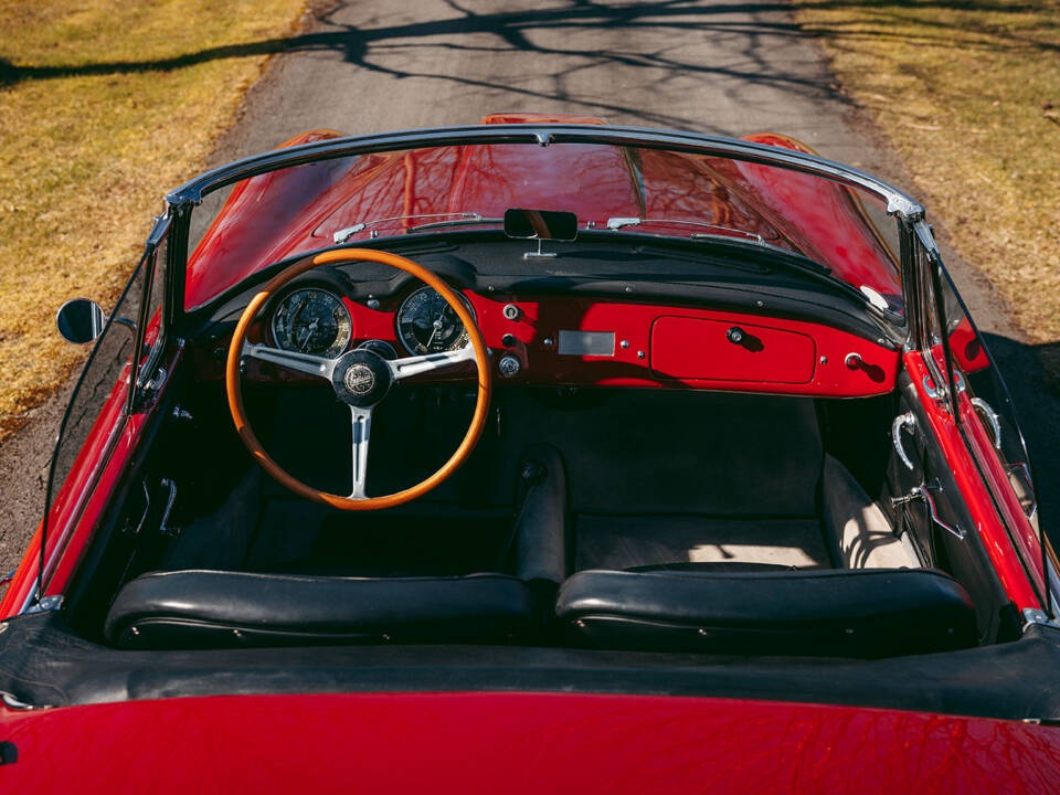 Bild 42/62 von Lancia Aurelia B24 (1958)