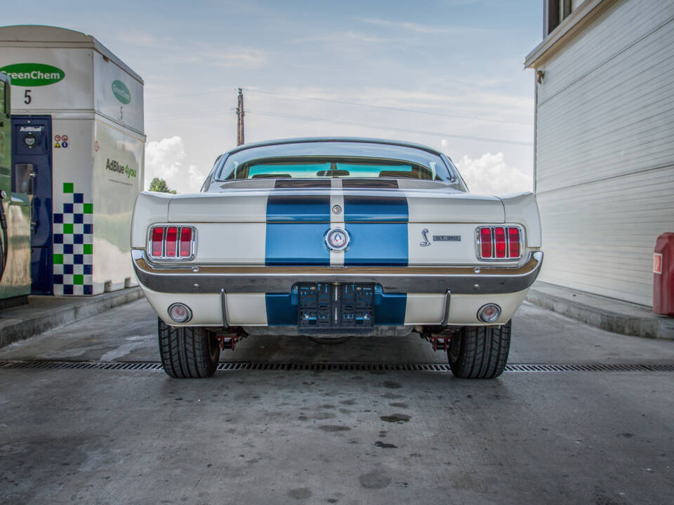 Bild 9/25 von Ford Shelby GT 350 (1966)