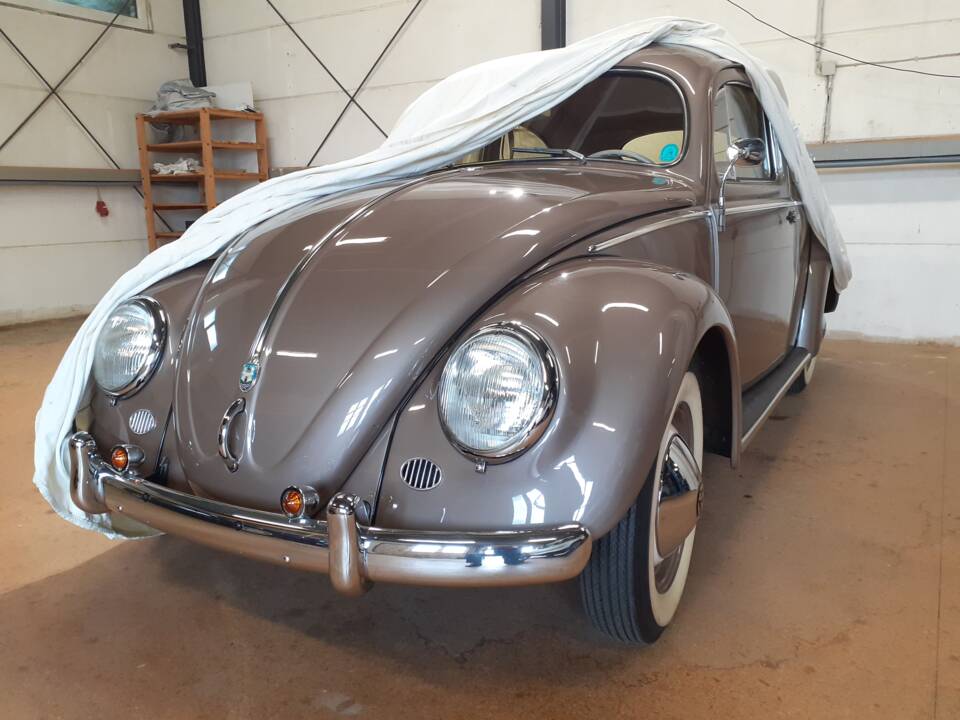 Bild 6/25 von Volkswagen Beetle 1200 Export &quot;Oval&quot; (1954)