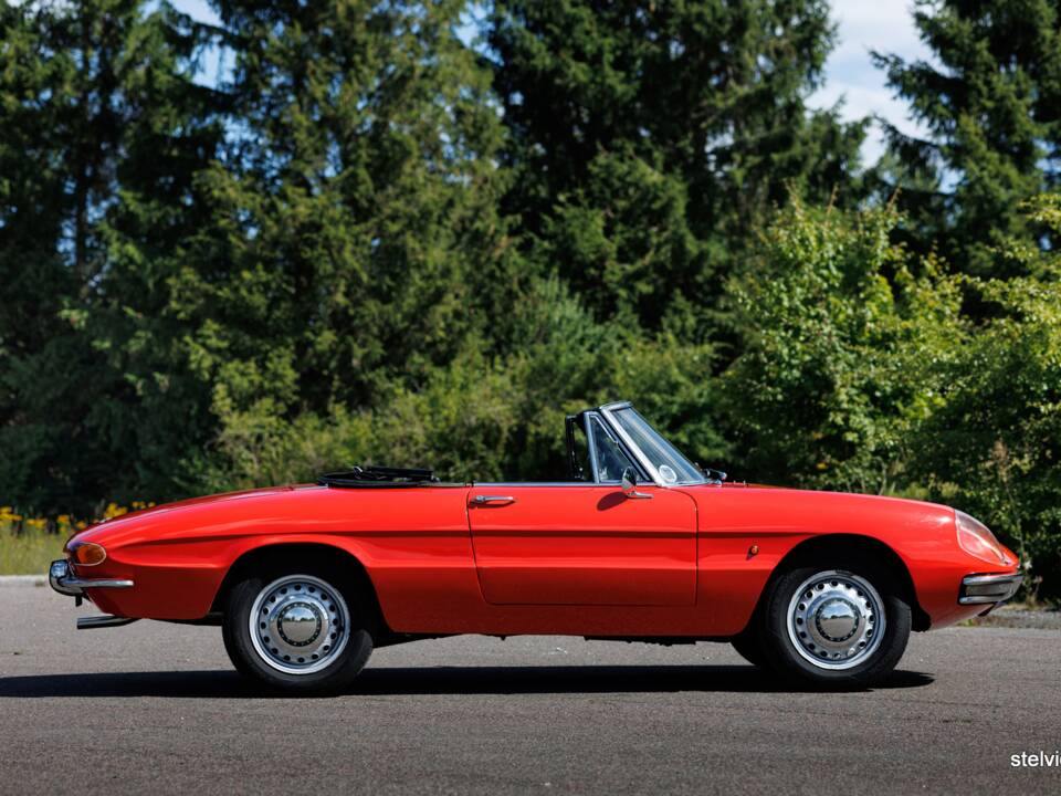 Afbeelding 11/37 van Alfa Romeo 1600 Spider Duetto (1966)