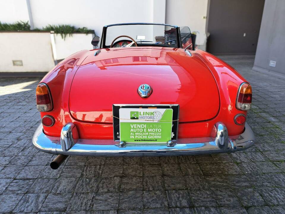 Bild 7/12 von Alfa Romeo Giulietta Spider (1961)