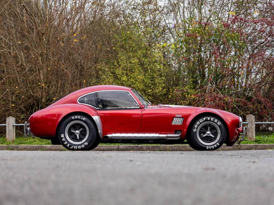 Afbeelding 25/50 van AC Cobra 289 (2000)