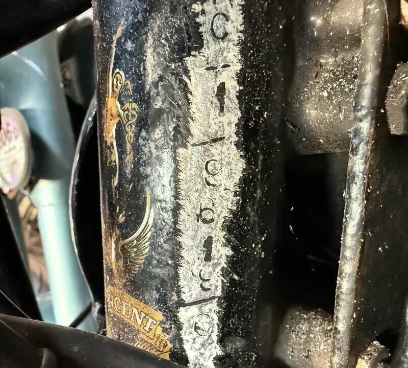 Image 39/39 of Vincent DUMMY (1951)