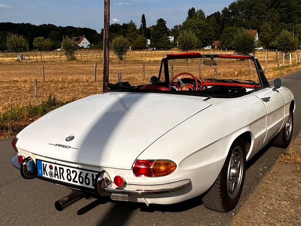 Afbeelding 6/19 van Alfa Romeo 1750 Spider (1969)