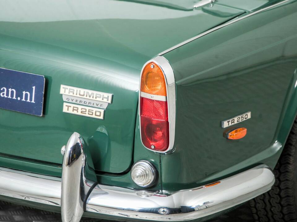 Imagen 30/50 de Triumph TR 5 PI (1968)