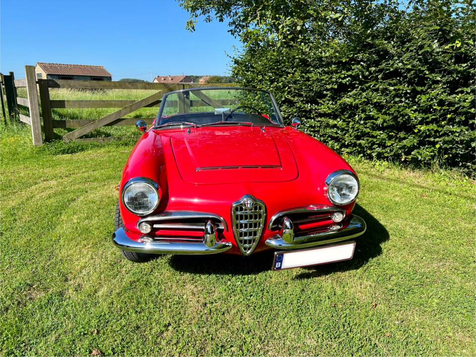 Immagine 9/85 di Alfa Romeo Giulia 1600 Spider Veloce (1964)