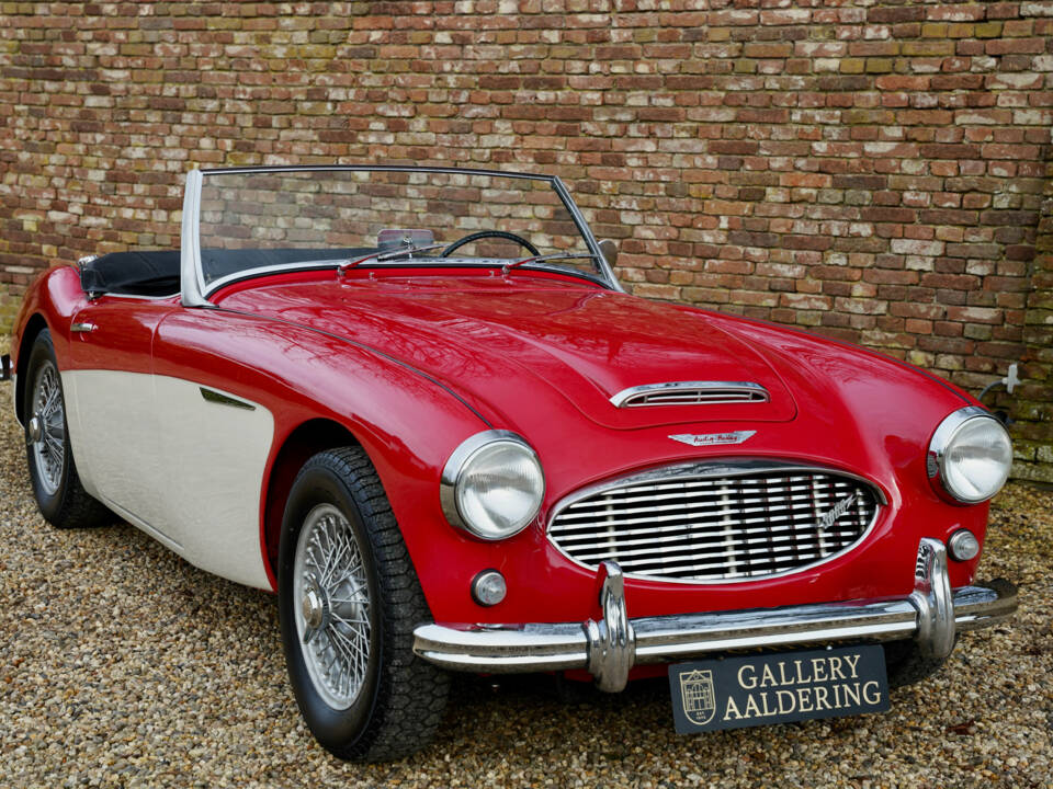 Bild 28/50 von Austin-Healey 3000 Mk I (BT7) (1961)