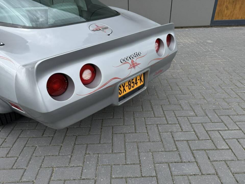 Immagine 9/18 di Chevrolet Corvette Sting Ray (1980)