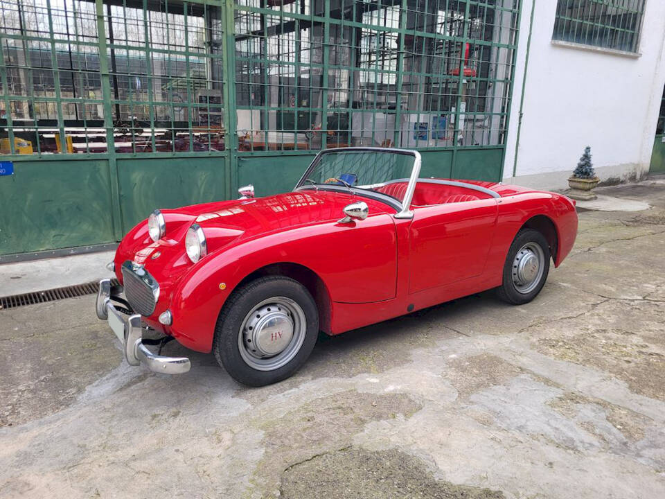 Image 4/51 of Austin-Healey Sprite Mk I (1960)